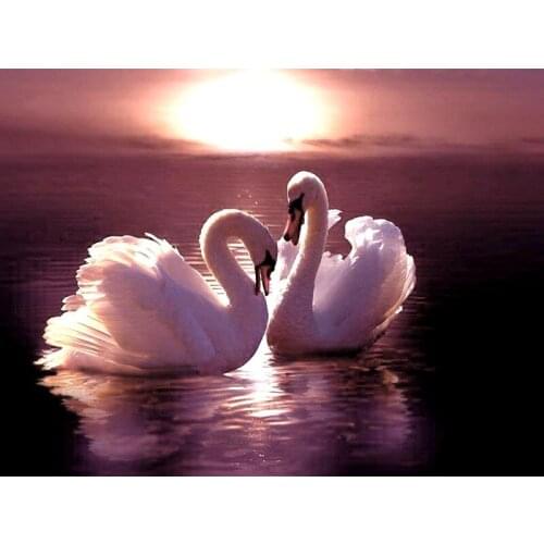 5D DIY Diamond Painting Full Square/Round Drill "White Swan" 3D Rhinestone Embroidery Cross Stitch Gift Home Decor