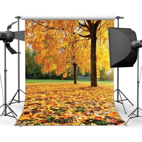 Photography Backdrop Rural Forest Trees Fall Leaves Nature Autumn Newborn Baby Kids Children Adults Portraits Background