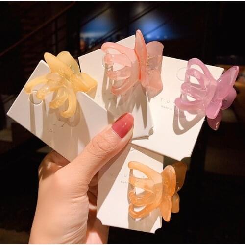 2020 New Korea Cute Stereoscopic Resin Butterfly Colorful Transparent Head Clip Hairpin Hair Accessories for Women