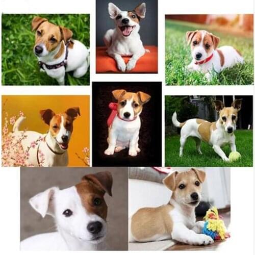 Large Full Drill,dog,jack russel,diamond embroidery,5d diamond painting,Cross Stitch,3D rhinestones embroidery,Mosaic,pet,Z1229