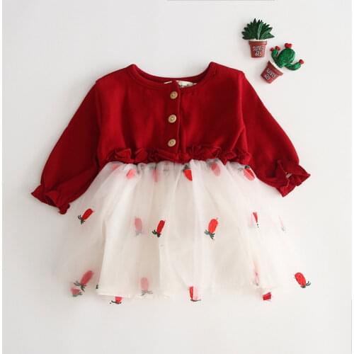 Toddler Girls Casual Princess Dress Red Strawberry Printed Pattern Long Sleeve One-piece Lace Mesh Mini Dress ChIldren Outfits