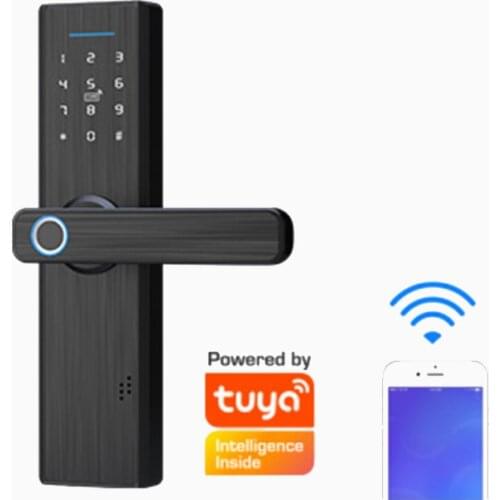 Factory Price WiFi Smart Tuya TTlock Lock Fingerprint Password Card Door Lock