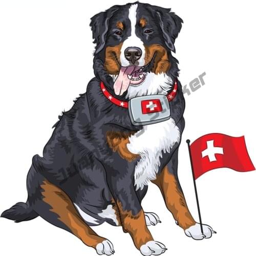 Happy Bernese Mountain Dog with A First Aid Kit Car Sticker for Auto Window Camper Truck Car Body Scratch-Proof Decals KK13x13cm