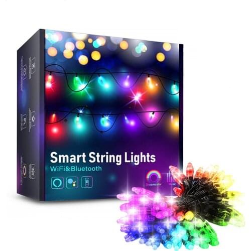 Extendable high Quality wifi smart led Black Wire fairy string light net waterproof wedding party holidays lighting decoration