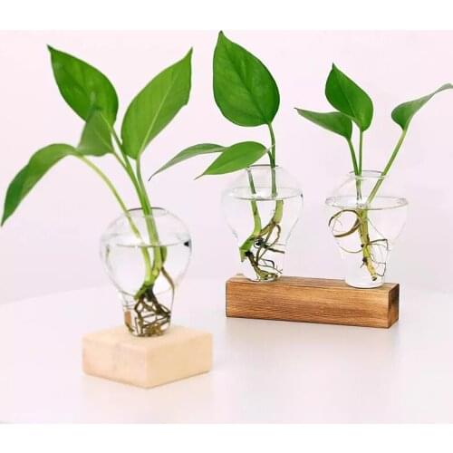 Crystal Glass Planter with Wooden Stand Hydroponics Plants Bulb Desktop Terrarium Flower Vase Home Office Decor