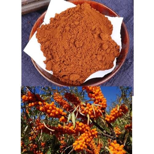 Wild organic seabuckthorn juice powder 100% natural