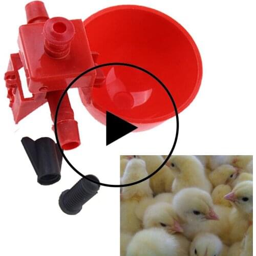 10/20/30PCS Chicken Waterer Hens Quail Birds Drinking Bowls Water For Chicken Coop Chick Nipple Drinkers Poultry Farm Animal