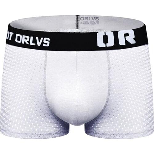 2020 ORLVS Brand New designed Brand Men Underwear Briefs Slip Mesh Shorts Cueca Gay men sexy Male panties Breathable OR207