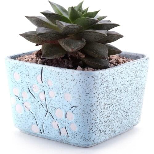 Ceramic Japanese Stlye Square Wintersweet Succulent Cactus Plant Pot Flower Pot/container/planter Blue