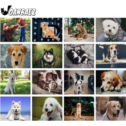 Pet Dog Diamond Painting Cross Stitch Embroidery Animal Digital Mosaic Kit Handmade Home Decoration Accessories