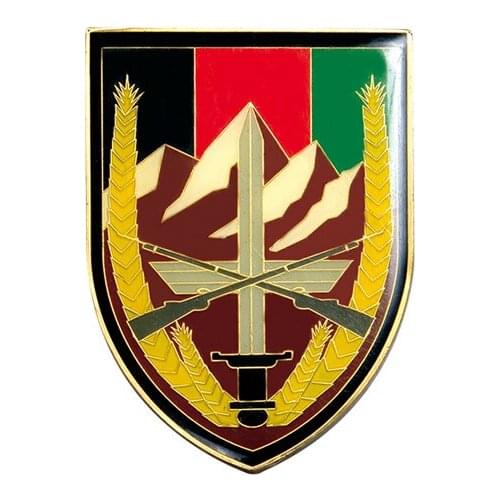 Fashion and original Military Souvenir Award Soft Enamel Coin