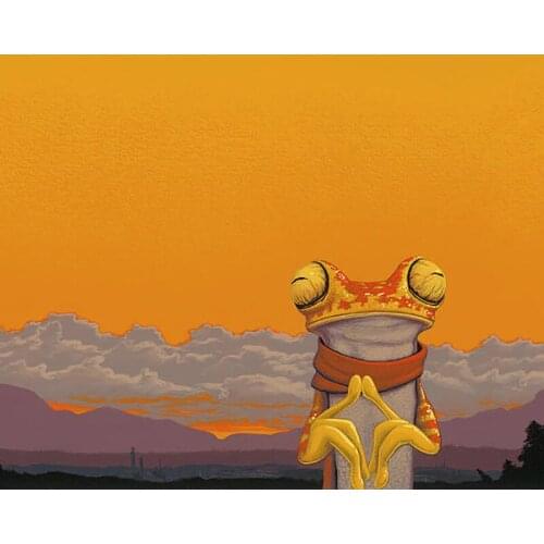 DIY Painting By Numbers Cartoon Frog Clouds Kit Oil Picture By Numbers Animal Wall Art Painting on Canvas Home Decoration Gift