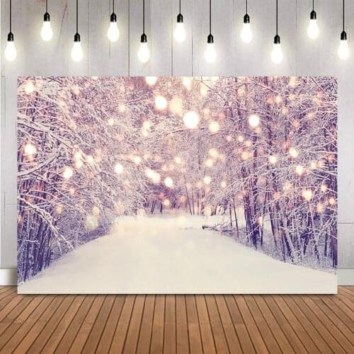 Winter Snow Photography Backdrop Kids Portrait Merry Christmas Photo Booth Background Studio Glitter Bokeh Photo Background Prop
