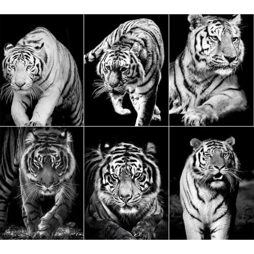 5D DIY Diamond Painting Tiger Black and White Series Full Circle Diamond Embroidery Animal Mosaic Rhinestone Home Decoration