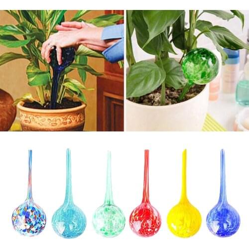 6x Glass Automatic Self Watering Bulbs Drip Irrigation System for Plants & Flower