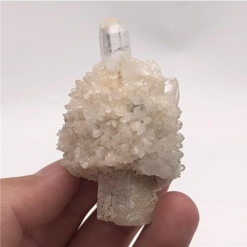 Free Shipping！Natural White Clear Crystal Cluster Double-End Quartz For Home Decoration