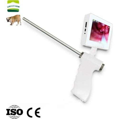 Dog Video Endoscope Pet Camera Sperm AI Gun Corgi Artificial Insemination Bulldog Sperm Fresh GUN Veterinary Breeding Pet Clinic
