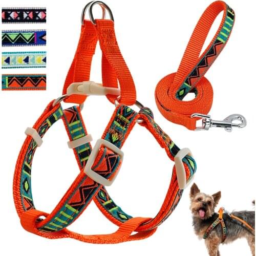 Breathable Nylon Dog Harness and Leash Set Printed Step in Small Dogs Puppy Harness Walking Lead Rope For Pitbull Pug