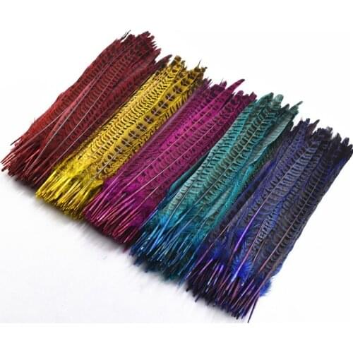 10Pcs/Lot Female Pheasant Tail Feathers for Decoration 25-30CM/10-12" Natural Pheasant Feather Decor Craft Carnival Plumes DIY