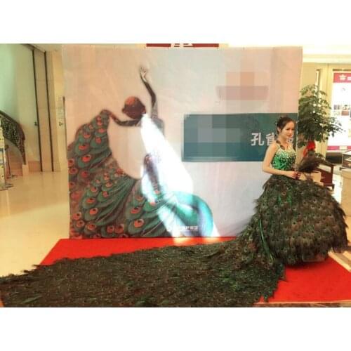 The peacock feather dress The peacock feather photograph during stage costumes The peacock feather clothing