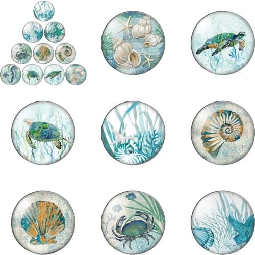Graphic Art Sea Horse Starfish Round Photo Glass Cabochon Demo Flat Back Making Findings Handmade DIY Accessories