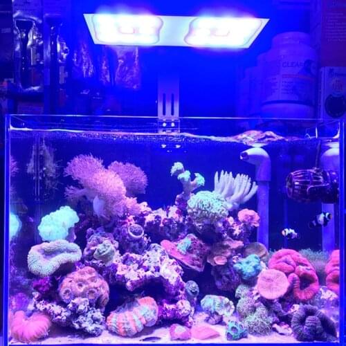 High-power marine coral fish tank LED light stand full spectrum dedicated full spectrum adjustable marine fish tank clamp lamp