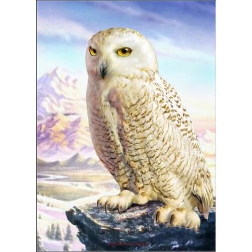 Embroidery Counted Cross Stitch Kits Needlework - Crafts 14 ct DMC DIY Arts Handmade Decor - Barn Owl