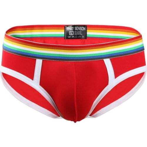 Men Briefs Sexy Underwear Breathable Cotton Male Panties Comfortable Underpants Cueca Tanga Quick Dry Mesh mens underwear gay