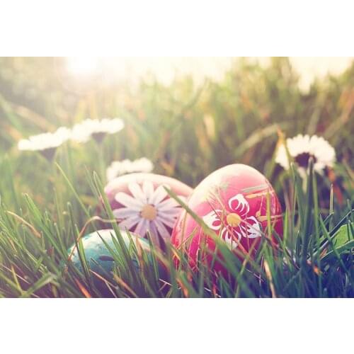 Outdoor grassland photo backgrounds photography vinyl baby Easter photo backdrop for photo Studio accessories fotografia LV-1699