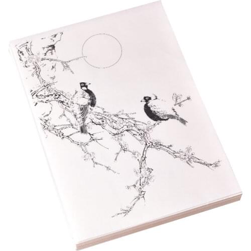 97 Sheets/Lots Chinese Drawing Manuscript Copying Practice Character Basic Tutorial Beginners Rice Paper Flowers and Birds Album