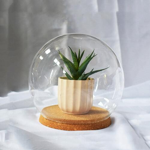 Diameter=20cm Big Size Round Shaped Glass Dome Vase Home Decoration Cork Base Cover DIY Friend Birthday Gift Wedding