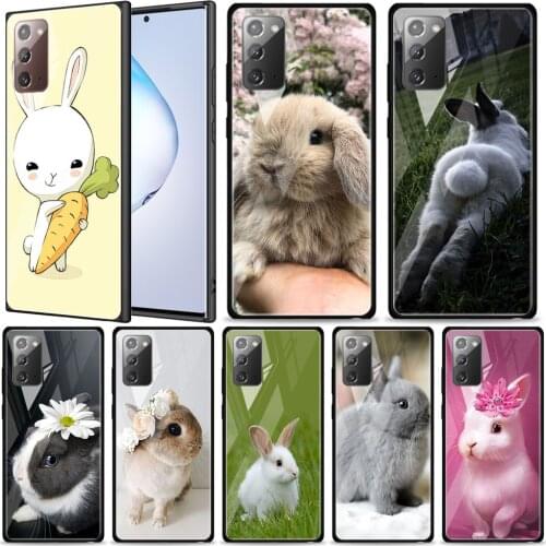 Cute Bunny Rabbit Tempered Glass For Samsung Galaxy Note 20 Ultra 10 9 8 Plus Lite A70 A50 A40 A30 A20 A10 Phone Case