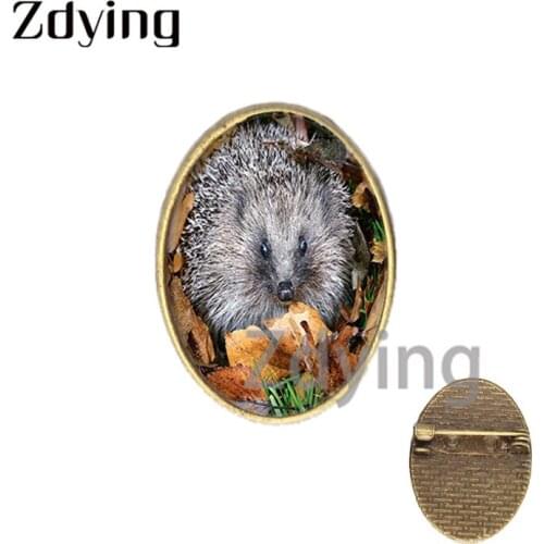 Zdying 18*25mm Animal Hedgehog Oval Shape Brooch Pin Glass Cabochon Dome Badge For Clothes Scarf Collar Jewelry Gift HE014