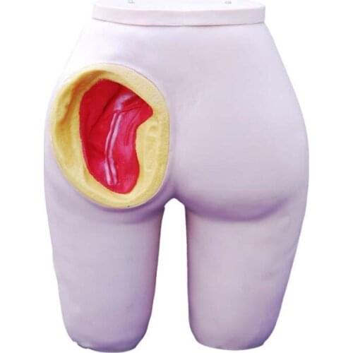 Advanced Intramuscular Injection Training Model