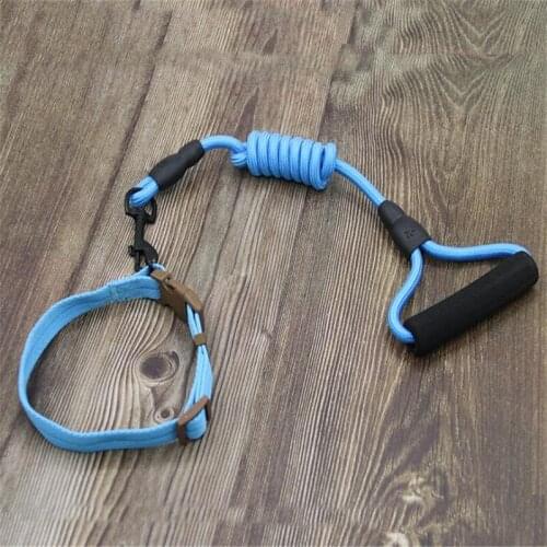 Classic Combination Dog Collars+Leash Puppy Cat Dog Tag Pet Small Medium Large Dogs 03