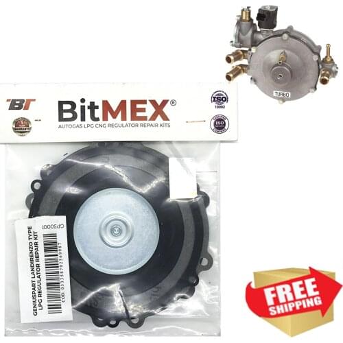 Landirenzo LI10 Turbo Type Reducer Repair Kit Landirenzo Vaporizer Reducer Repair Set