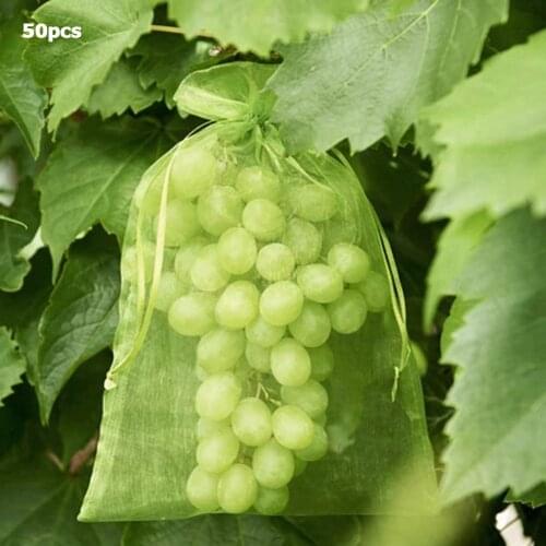 50pcs Garden Netting Bags Fruits Plant Grapes Gardening Protection Drawstring Mesh Bag Home Candy Pearl Storage Bag 17x23cm