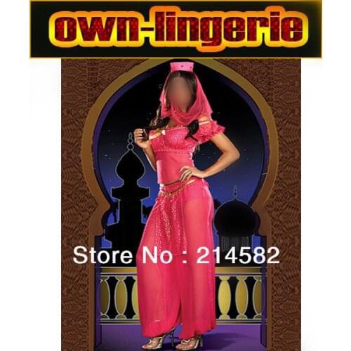Belly Dance Performance Indian dance Costume, Arab women dance cloth for Halloween party 4596