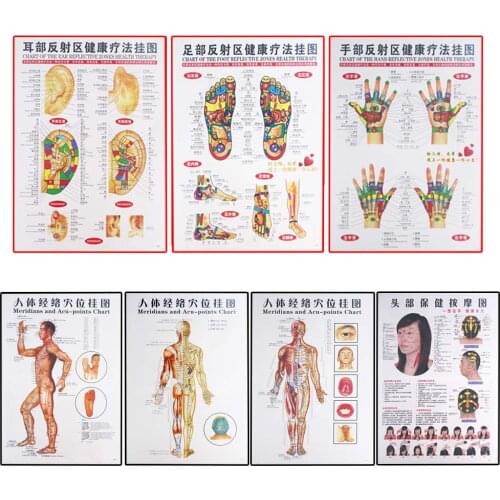 7 Pcs Chinese and English posters of moxibustion and moxibustion on acupoints and meridians of traditional Chinese medicine