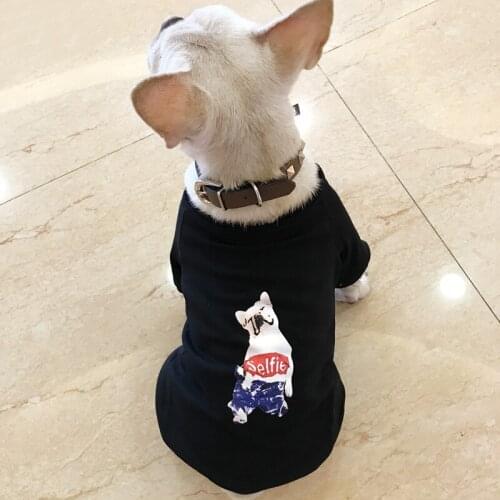 Pet Dog Spring Summer Clothes For Small Dogs Pets Clothing Yorkshire Tshirt French Bulldog Outfit Chihuahua Sweater Pug Costume