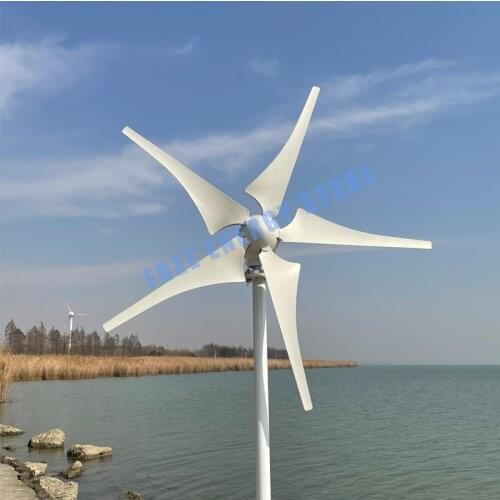 New Arrival Free Energy 6 Blades 1000W 12V 24V Wind Turbine Generator Windmill With mppt Controller Homeuse Low Wind Speed Start