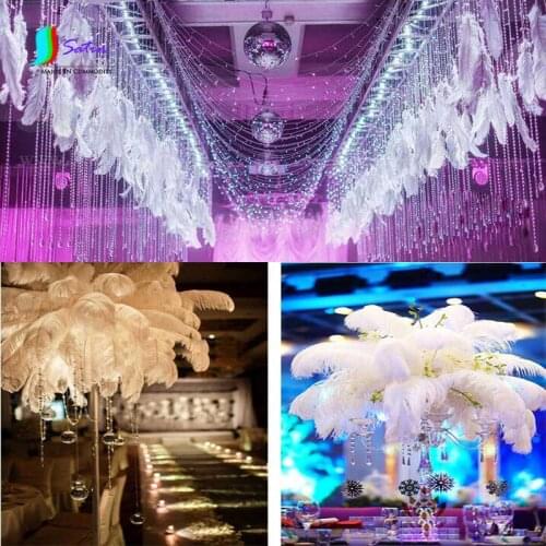 High Quality White Ostrich Feathers for Wedding/dance clothing/stage DIY Decoration Accessories White Feathers S0572H