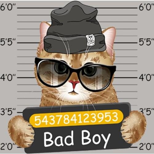 Bad Boy Cat Stickers On The Fabric Appliqued Fashion Tops Diy Vinyl Heat Transfer Appliques Over Powder Patch