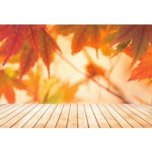 Yeele Autumn Scene Backdrop Photocall Wood Board Maple Baby Pet Portrait Background Photography For Photo Studio Photographic