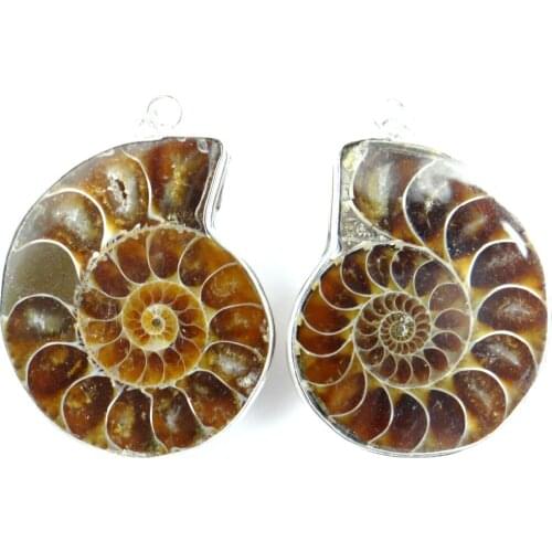 Natural Iridescent Ammonite Fossil Specimen Stone Pendant Nautilus Ocean Fish Tank Stones Healing Jewelry Making Accessories 1pc