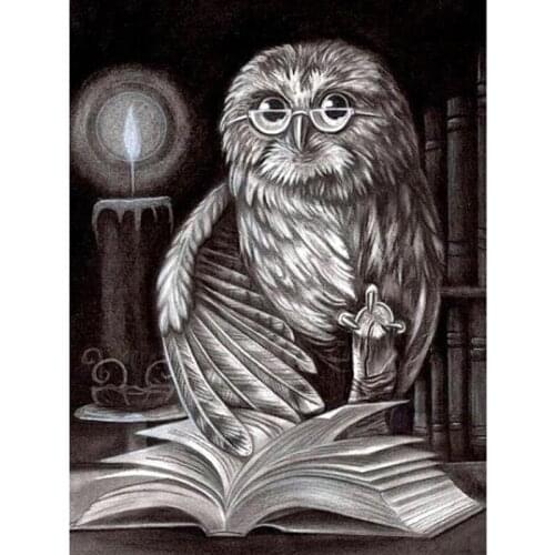 Kexinzu Full Square/Round 5D Diy Diamond Painting Cross Stitch "Animal Owl" Diamond 3D Embroidery Mosaic Home Crafts 3