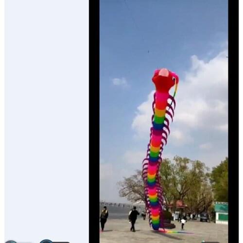 Koi fish new bar soft flying birds outdoor toy kite fishing huge rainbow kite inflatable dragon kite adult vliegen ripstop nylon