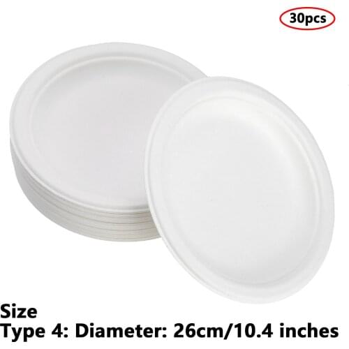 30 Disposable Paper Platters Dinner Plates Eco-Friendly Dishes Party BBQ Food Serving Trays Kitchen Tableware DIY Painting Plate