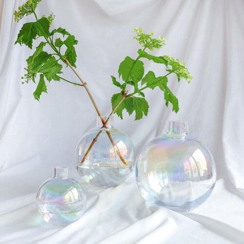 Modern Simple Round Hydroponics Small Mouth Glass Vases Plants Holder Container Desktop Handmade Art Vases Home Decoration