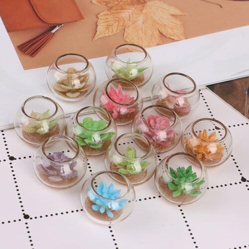 1:12 Dollhouse Miniature Glass Jar Succulent Plants In Pot Furniture Home Decor